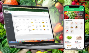 Mephsar Online E-Commerce Mobile App Development in Cambodia