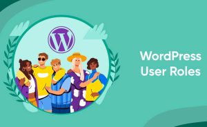 How to manage users and roles in WordPress CMS